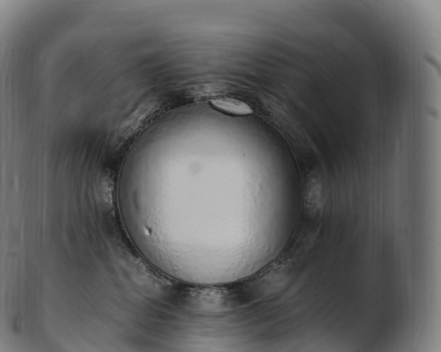 X0000103330282200809121217