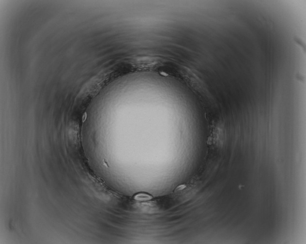 X0000103330283200809121217