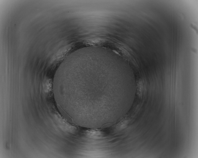 X0000103330284200809121217