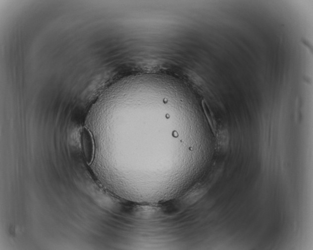 X0000103330286200809121217