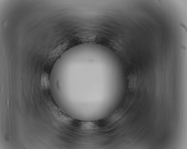 X0000103330287200809121217