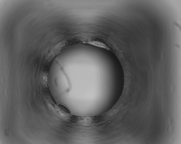 X0000103330288200809121217