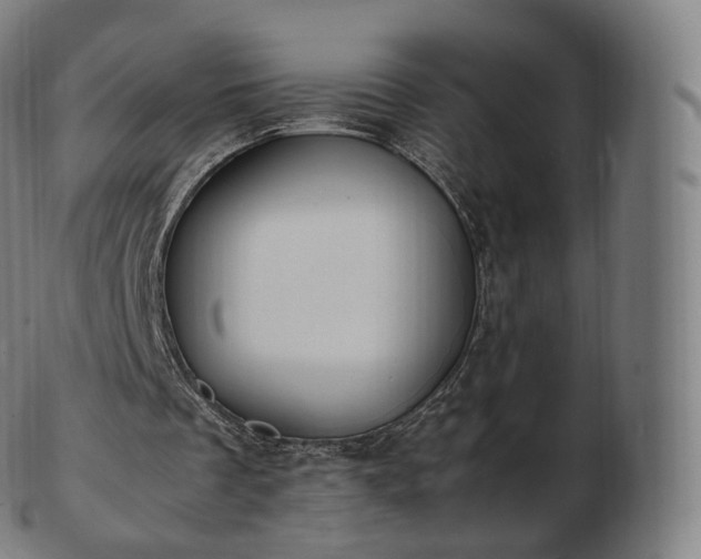 X0000103330289200809121217