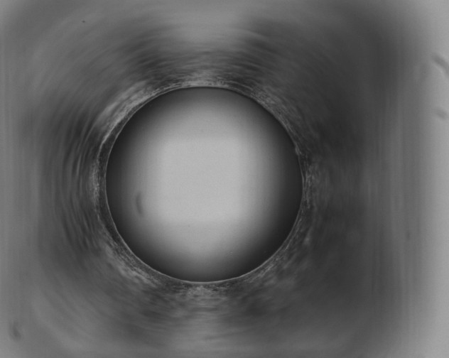 X0000103330290200809121217