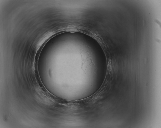 X0000103330292200809121216