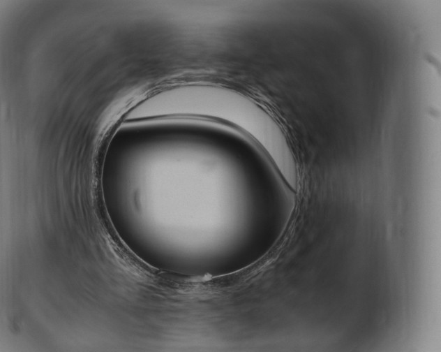 X0000103330293200809121216