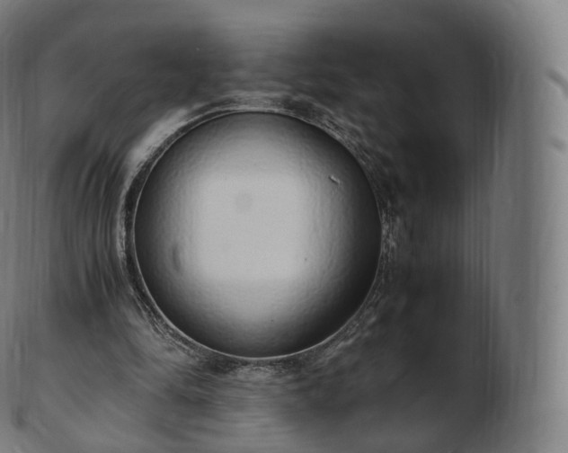 X0000103330294200809121216