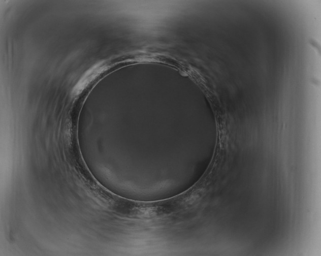 X0000103330295200809121216