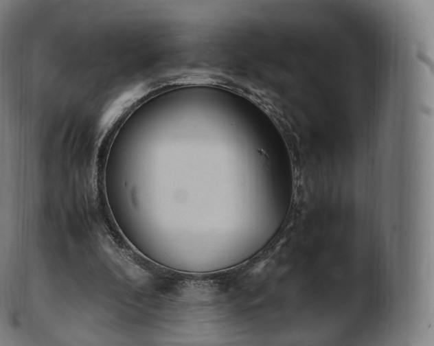 X0000103330296200809121216