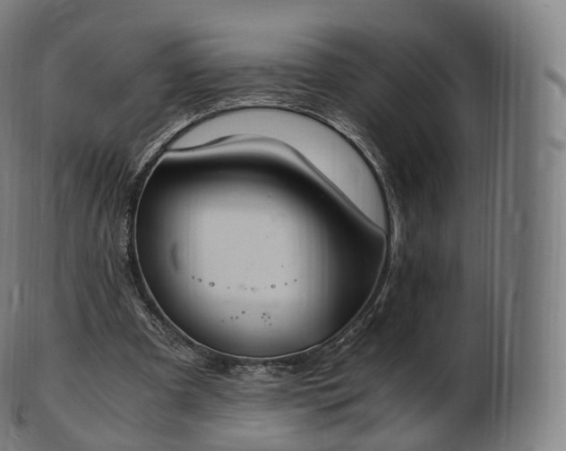 X0000103330297200809121216