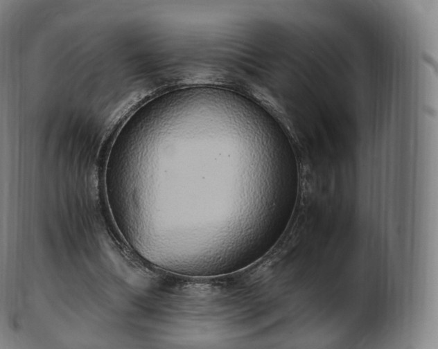 X0000103330298200809121216