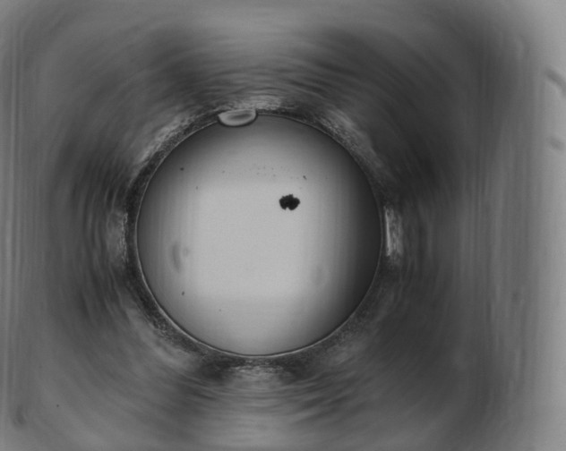 X0000103330300200809121216