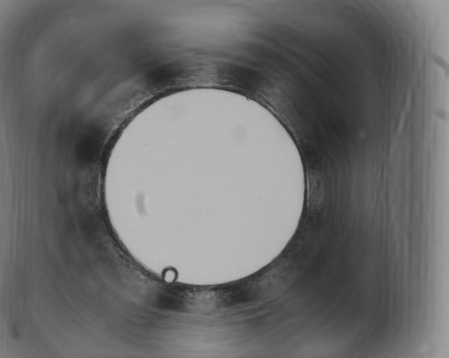 X0000103330301200809121216