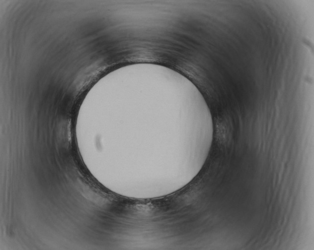 X0000103330302200809121216