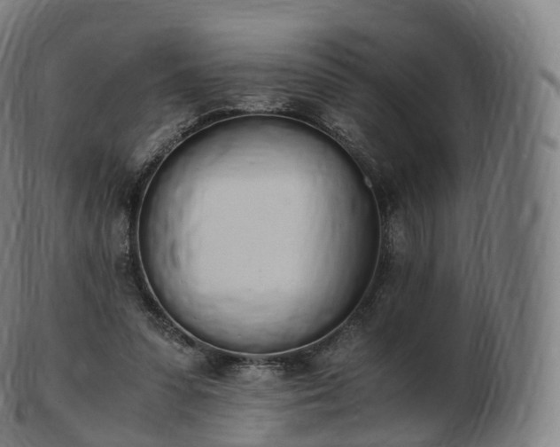 X0000103330303200809121216