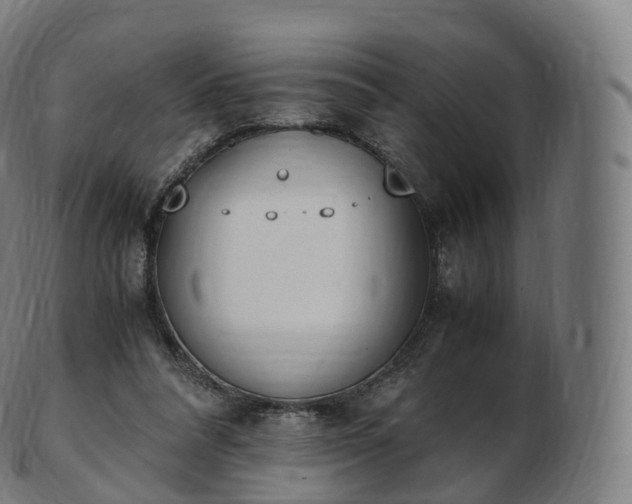 X0000103330304200809121216