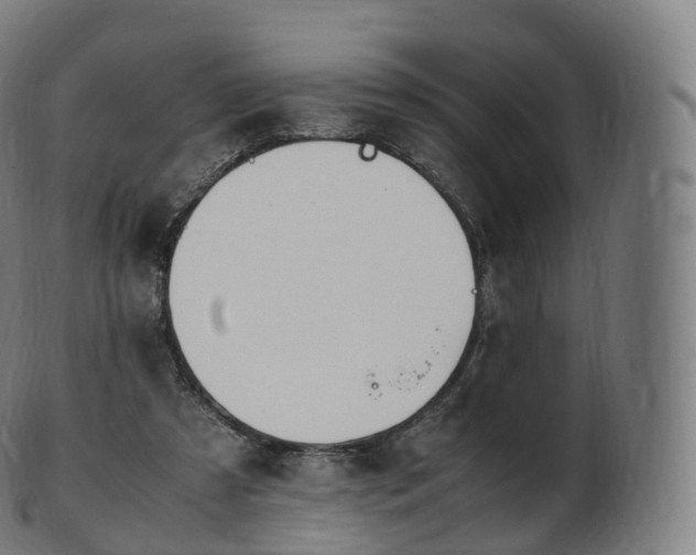 X0000103330305200809121216