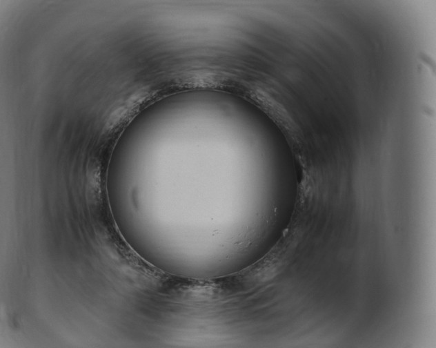 X0000103330306200809121216