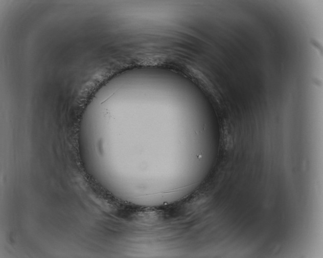 X0000103330307200809121216