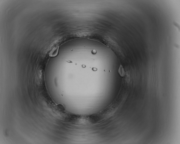 X0000103330308200809121216