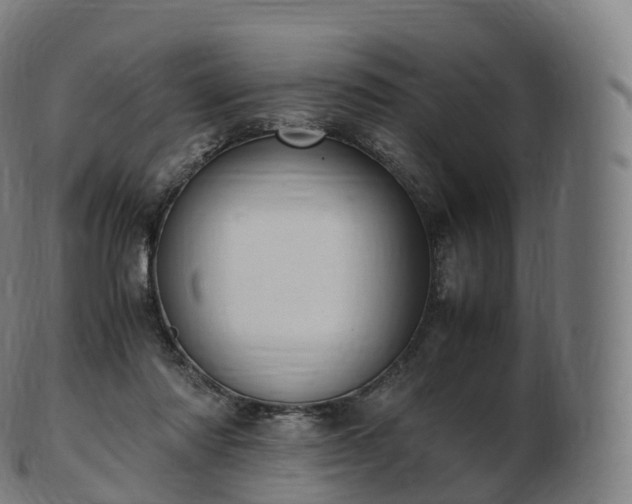 X0000103330310200809121216