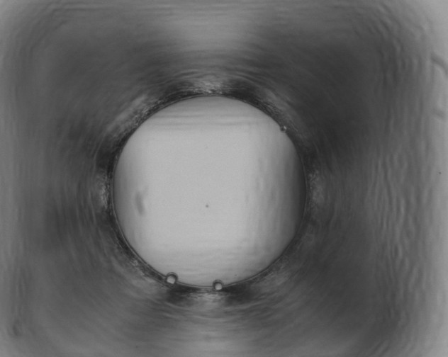 X0000103330313200809121216