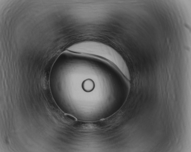 X0000103330316200809121216