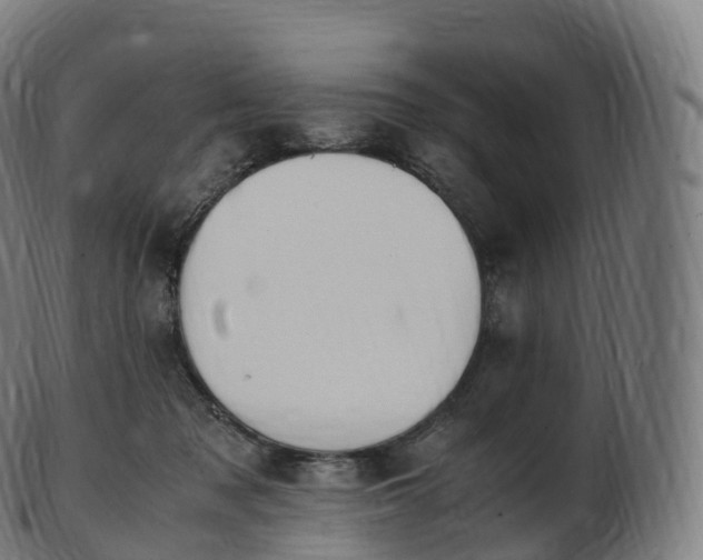 X0000103330317200809121216