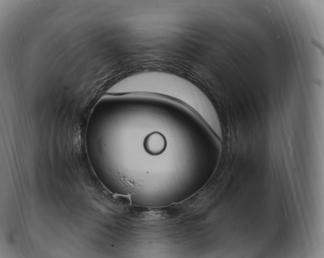 X0000103330320200809121216