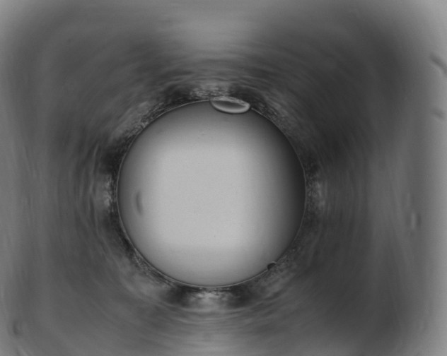 X0000103330323200809121216