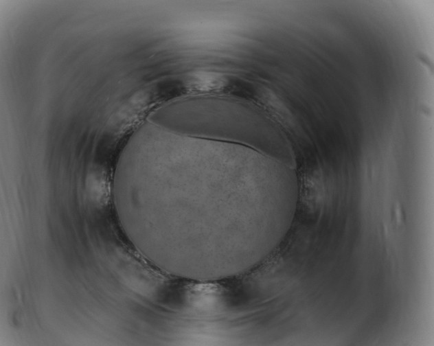 X0000103330324200809121216