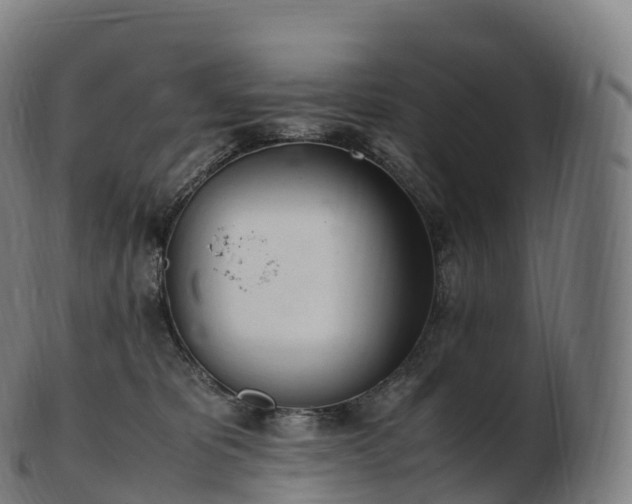 X0000103330325200809121216