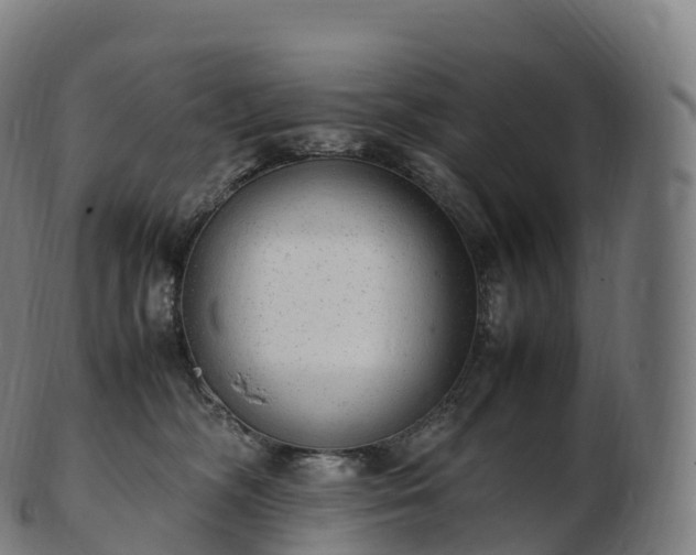 X0000103330326200809121216