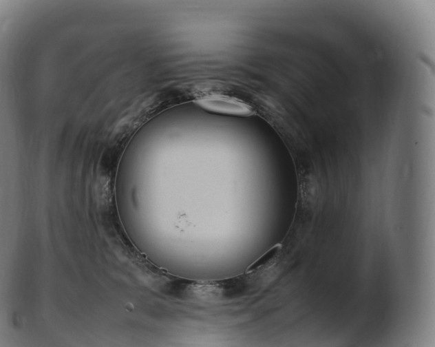 X0000103330327200809121216