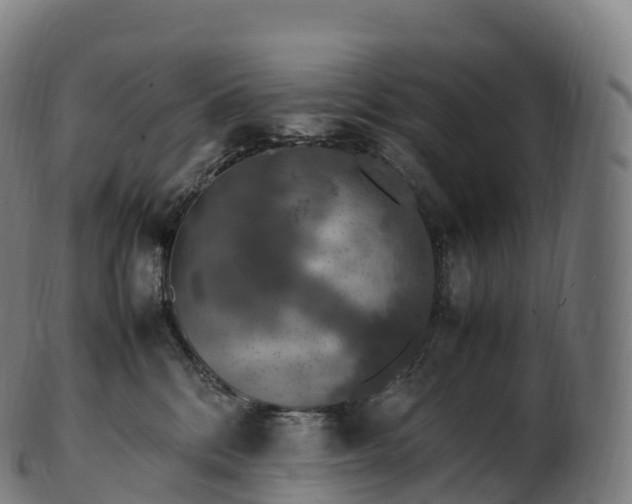 X0000103330328200809121216