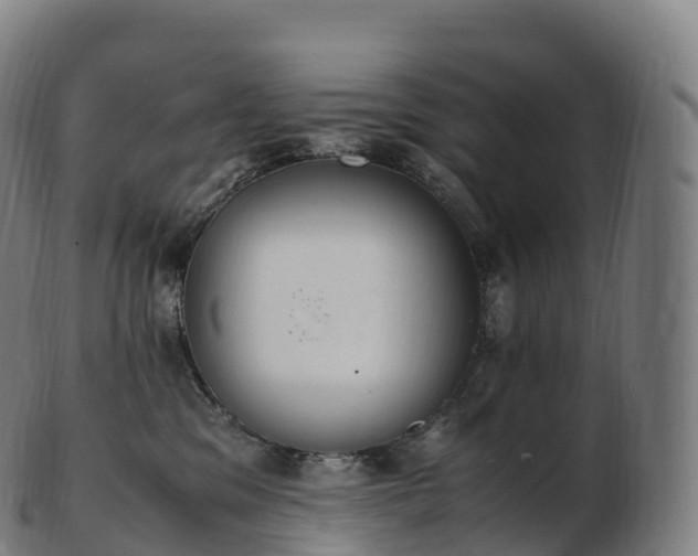 X0000103330329200809121216