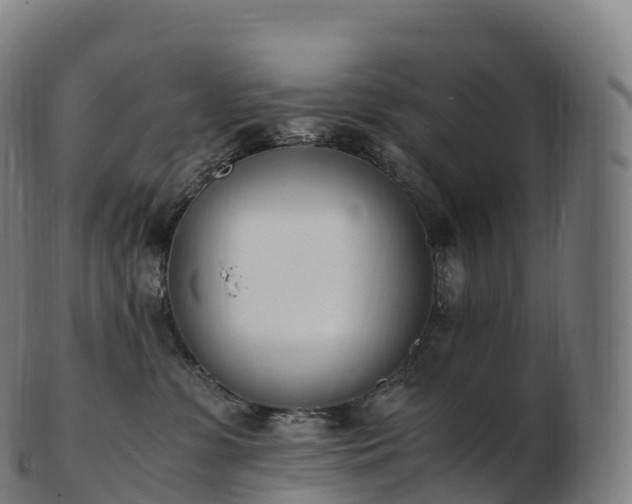 X0000103330331200809121216