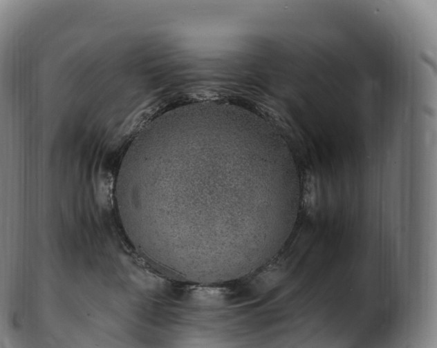 X0000103330332200809121216