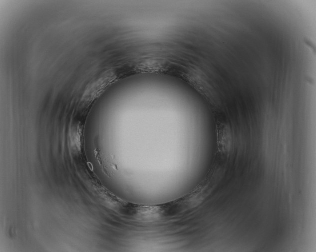 X0000103330334200809121216