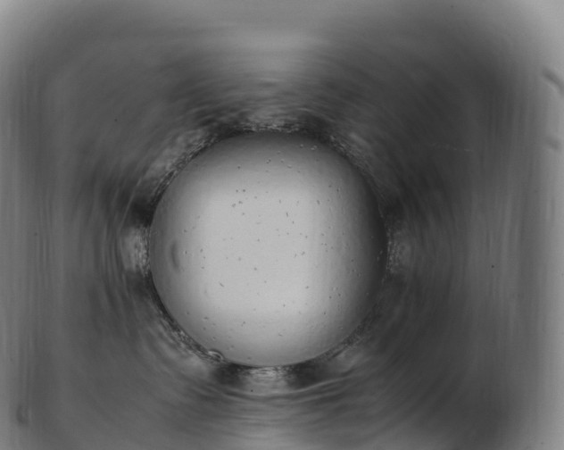 X0000103330335200809121216