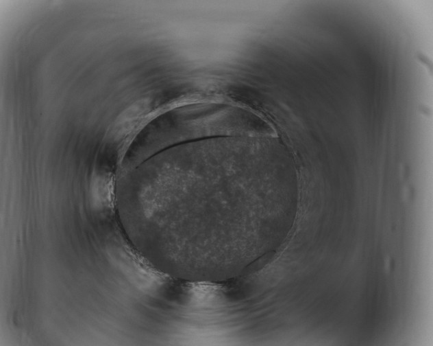 X0000103330336200809121216