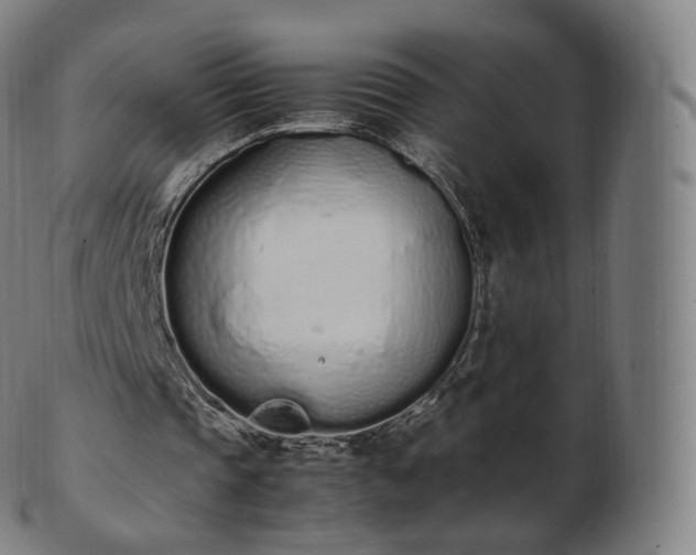 X0000103330337200809121215