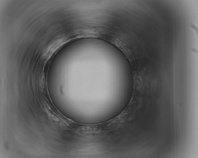 X0000103330338200809121215