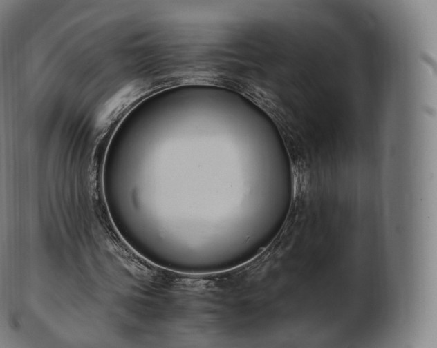 X0000103330339200809121215