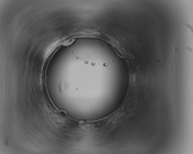 X0000103330340200809121215