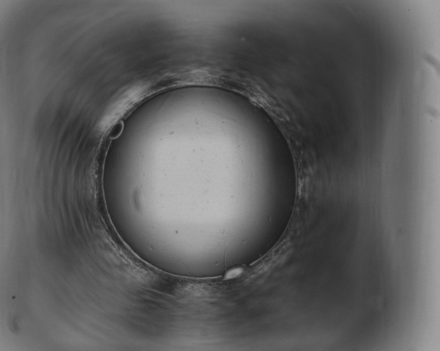 X0000103330341200809121215