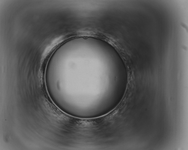 X0000103330343200809121215