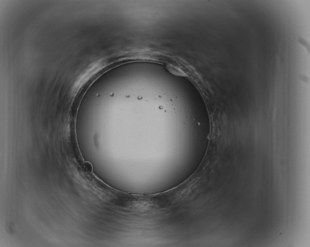 X0000103330344200809121215