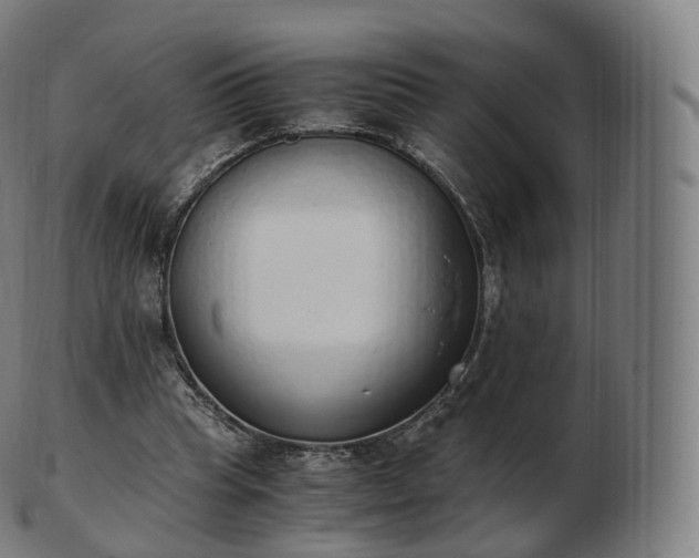 X0000103330345200809121215