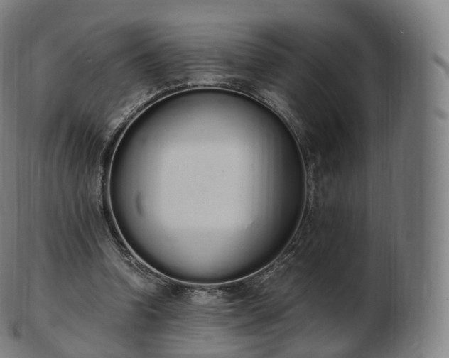 X0000103330346200809121215